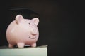 Piggy bank on book saving money Royalty Free Stock Photo