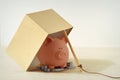 Piggy bank in box trap - Financial scam traps concept