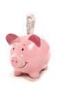 Piggy bank with British currency notes Royalty Free Stock Photo