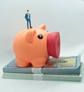 A piggy bank and a businessman`s figurine standing on top of a wad of hundred dollar bills Royalty Free Stock Photo