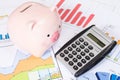 Piggy bank and calculator with business charts Royalty Free Stock Photo