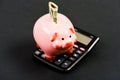 Piggy bank with calculator. Moneybox. bookkeeping. financial report. family budget management. business start up Royalty Free Stock Photo