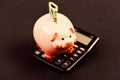 Piggy bank with calculator. Moneybox. bookkeeping. financial report. family budget management. business start up Royalty Free Stock Photo