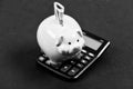 piggy bank with calculator. Moneybox. bookkeeping. financial report. family budget management. business start up Royalty Free Stock Photo