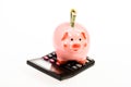 Piggy bank with calculator. Moneybox. calculation of annual income. saving money. First salary. business startup
