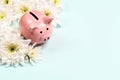 Piggy bank with chrysanthemum flowers on blue background Royalty Free Stock Photo