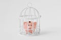 Piggy bank closed in a cage on white background - Concept of savings blocked
