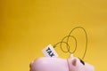 Hiding from tax concept. Piggy bank closed eyes with tape and don`t want see tax Royalty Free Stock Photo