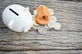 Piggy bank with coin and home Royalty Free Stock Photo