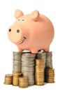 Piggy Bank and Coins Royalty Free Stock Photo