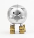 Piggy bank with coins isolated on a white background Royalty Free Stock Photo