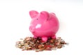 Piggy bank coins Royalty Free Stock Photo