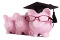 Piggy bank college student graduate graduation concept, education success, teaching Royalty Free Stock Photo