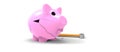 Piggy bank Royalty Free Stock Photo