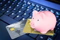 Piggy Bank and Credit Cards on Computer Keyboard Financial Concept Royalty Free Stock Photo