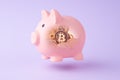 Piggy bank and cryptocurrency coin Bitcoin inside. Symbol of investments, saving money. Growth earnings concept.