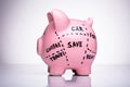 Piggy Bank Divided Into Saving Categories