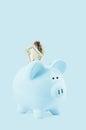 Piggy bank and dollar banknotes on pastel blue background Royalty Free Stock Photo