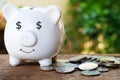 Piggy bank with dollar eye and pile of coin for saving money concept Royalty Free Stock Photo