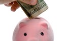 Piggy bank and dollars Royalty Free Stock Photo
