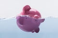 Piggy Bank Drowning In Water Royalty Free Stock Photo