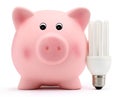 Piggy bank with energy saving lamp on white background Royalty Free Stock Photo
