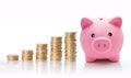 Piggy bank with euro coin stacks - concept of increase