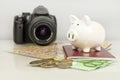 Piggy bank, euro money, passport, camera and map