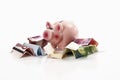Piggy bank with euro notes and Swiss francs Royalty Free Stock Photo