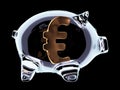 Piggy bank with euro sign inside isolated on black Royalty Free Stock Photo