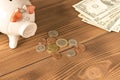 Piggy Bank and a few coins and dollar bills on a wooden table. Close up. The concept of saving money. Selective focus Royalty Free Stock Photo