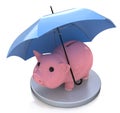 Piggy bank and Financial insurance concept