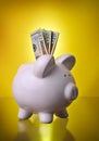 Piggy Bank Financial Investment Savings w/ Money