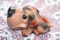 Piggy bank in the form of dog Royalty Free Stock Photo