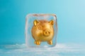 Piggy bank frozen in ice cube. Frozen savings, funds and assets, unavailable money. The concept of bankruptcy and capital freezing Royalty Free Stock Photo