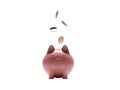 Piggy bank with gold dollar coins. Realistic rendering illustration