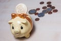 Piggy bank and a golden bitcoin Royalty Free Stock Photo