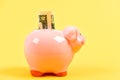Piggy bank with golden coin stack. Moneybox. getting rich. income. saving money. business startup. financial position