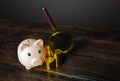 Piggy bank with golden coins and magnifying glass. Banking services. Accounting and audit. Deposit terms and conditions. Financial