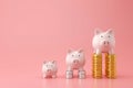 Piggy bank and golden stack coins of three level graph on pink background with saving money concept. Financial planning for the