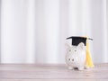 Piggy bank with graduation hat. The concept of saving money for education, student loan, scholarship, tuition fees in future Royalty Free Stock Photo