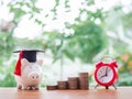 Piggy bank with graduation hat, stack of coins and red alarm. The concept of saving money for education, student loan, scholarship Royalty Free Stock Photo