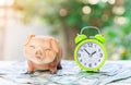 Piggy Bank, green alarm clock and pile of dollar bills on blur background Royalty Free Stock Photo