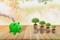Piggy bank green,placed on wooden table,hand holding coin,tree growing on stack of coins,Background nature bokeh Blurred,Financial