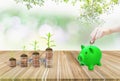 Piggy bank green on wooden table,woman hand holding coin,tree growing on stack of coins,background nature bokeh blurred,financial