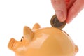 Piggy bank, hand and euro currency Royalty Free Stock Photo