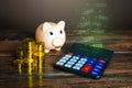 Piggy bank is happy with high incomes. Filling of funds, growth of profit and profitability. Growing savings. Successful business Royalty Free Stock Photo