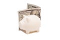 Piggy bank with hundred dollar bill Royalty Free Stock Photo