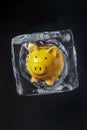 Piggy bank inside ice block Royalty Free Stock Photo