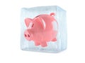 Piggy bank inside ice cube Royalty Free Stock Photo